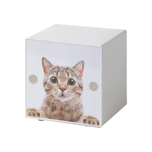 Hovedbilde Pet Cube